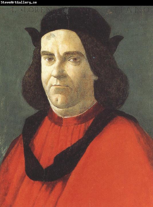 Sandro Botticelli Portrait of Lorenzo de'Lorenzi (mk36)